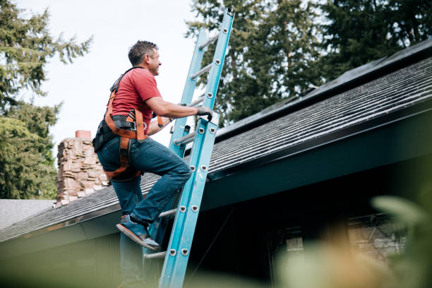 Best Solar Panel Roofing Installation  in Mayville, WI